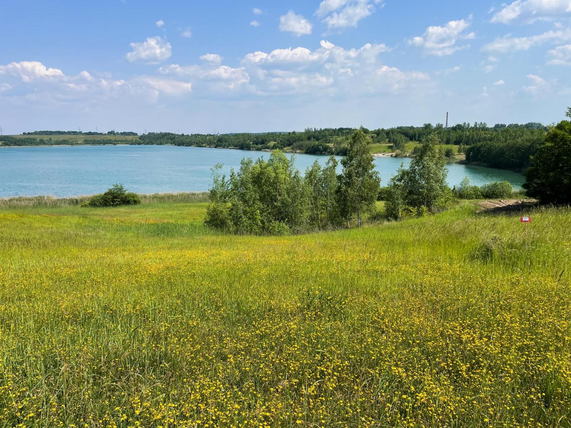 Haus Im Schilf 1 - Ferienwohnungen Am Hainer See Bei Leipzig Neukieritzsch Екстериор снимка